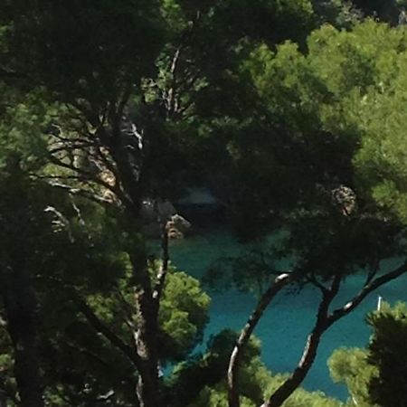 Les Terrasses Des Anthenors Bed and Breakfast Ensues-la-Redonne Buitenkant foto