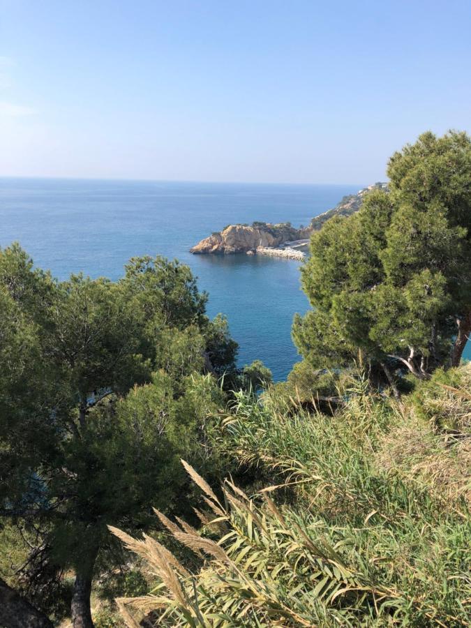 Les Terrasses Des Anthenors Bed and Breakfast Ensues-la-Redonne Buitenkant foto